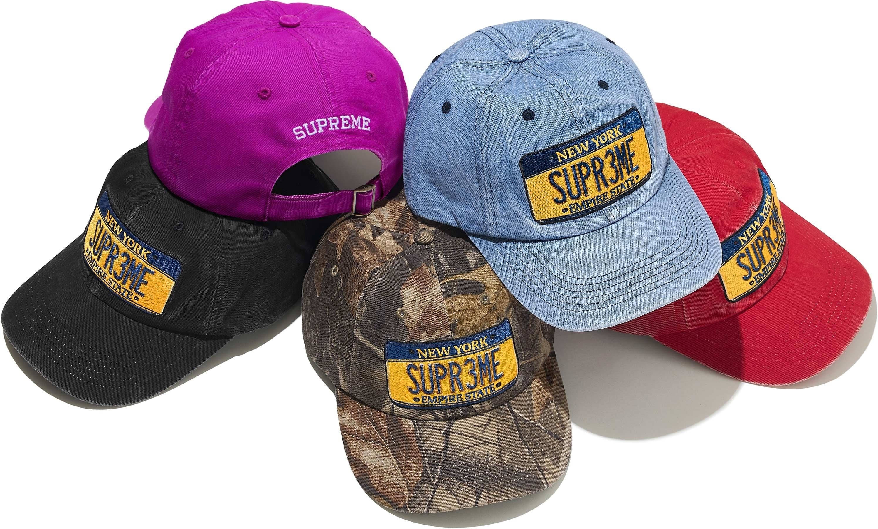 License Plate 6-Panel